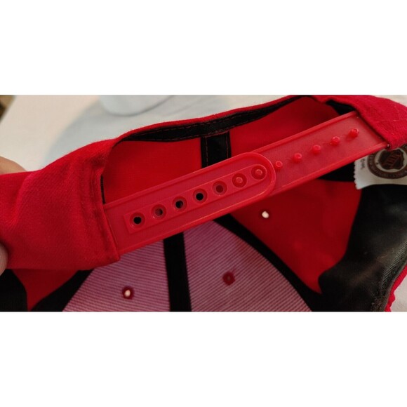 Vintage Detroit Red Wings Hockey Baseball Hat Twins Enterprise, Inc. NHL - Picture 11 of 11